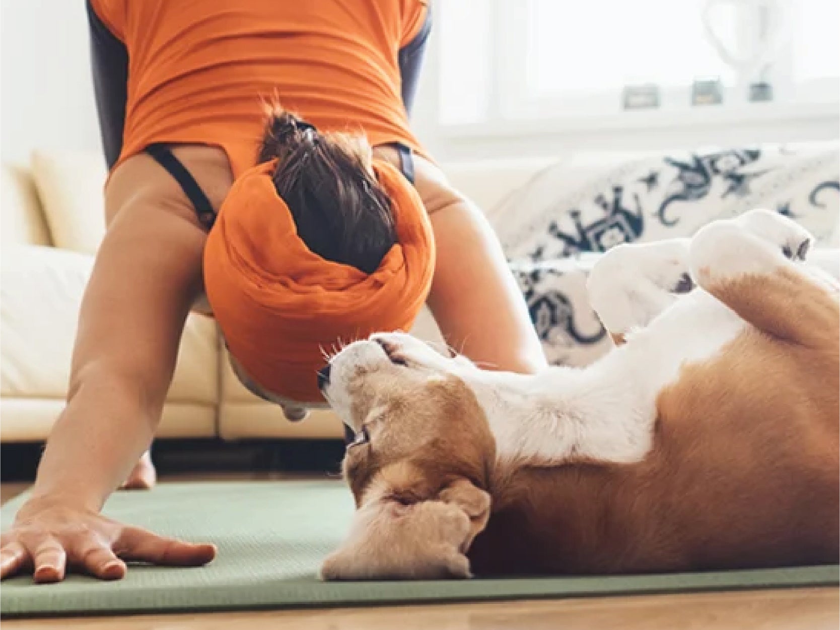 A woman does yoga while a dog lies on the floor, looking on
