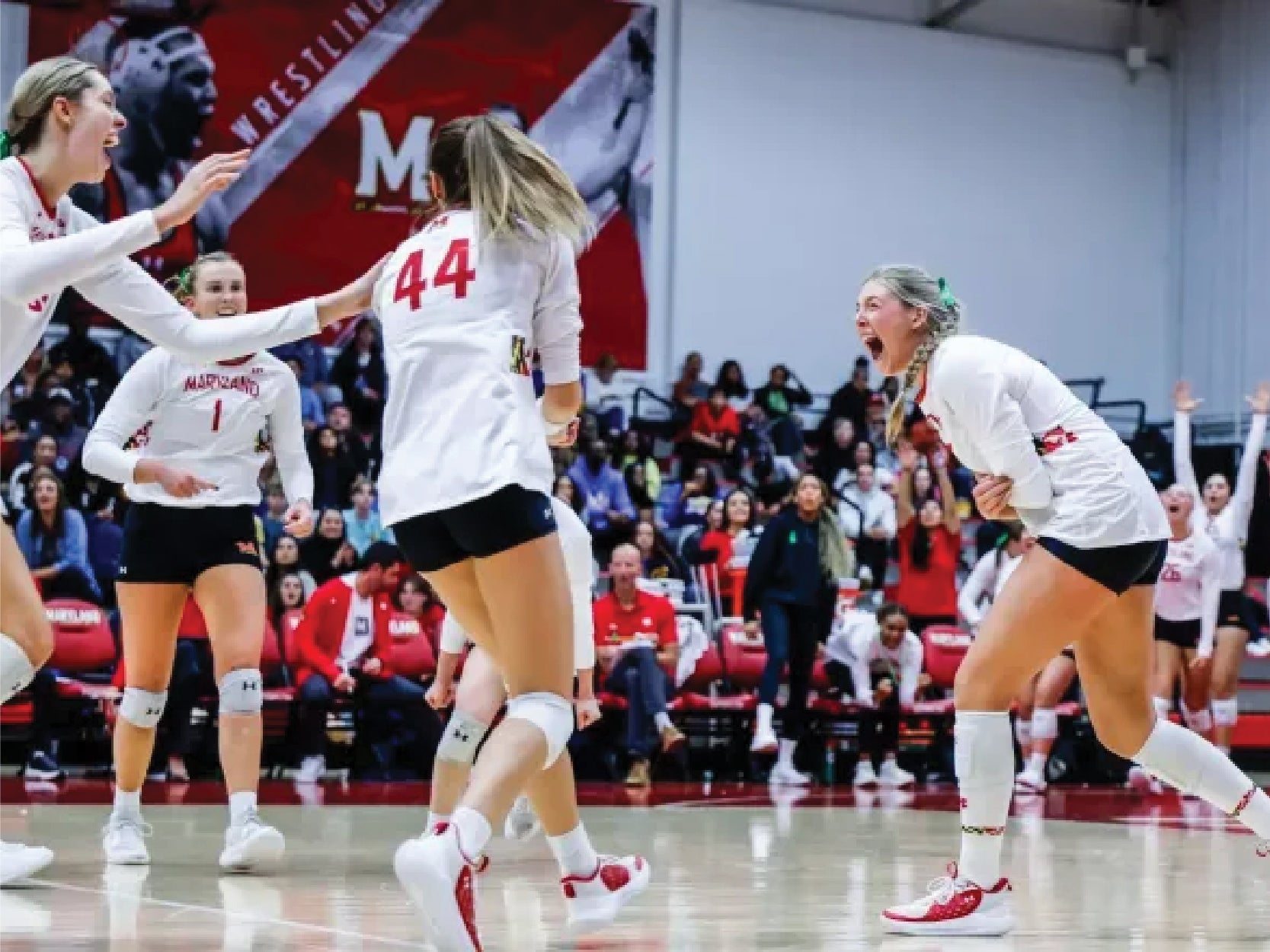 Four members of the Maryland volleyball team cheer on the court