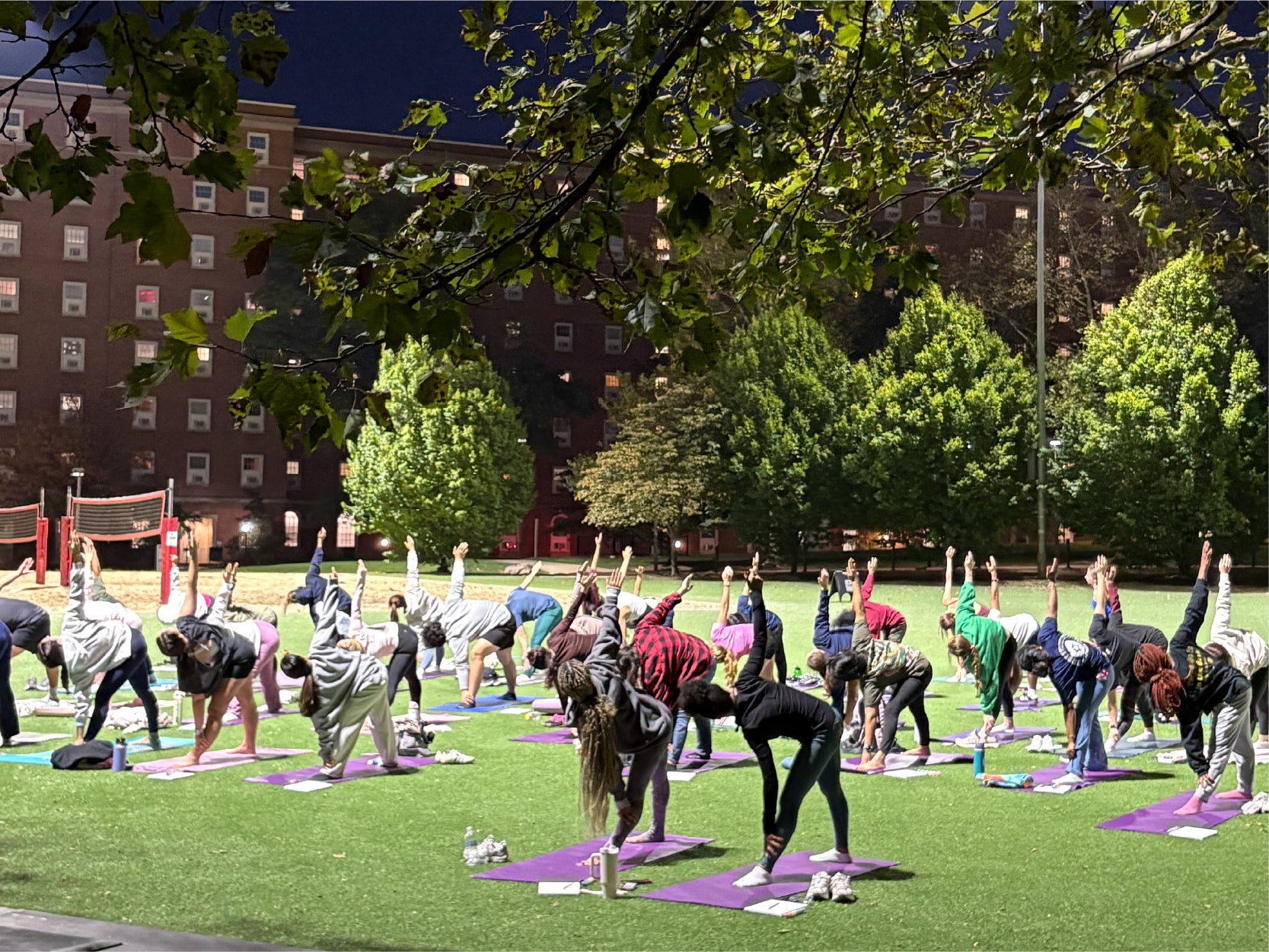 A photo of a group of students participating in a sunset yoga class.